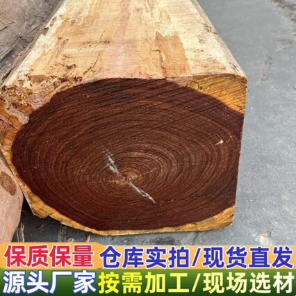 巴拿马阔扁豆 白酸枝 阔变豆 原木 木方 墨西哥阔扁豆 白酸枝木方