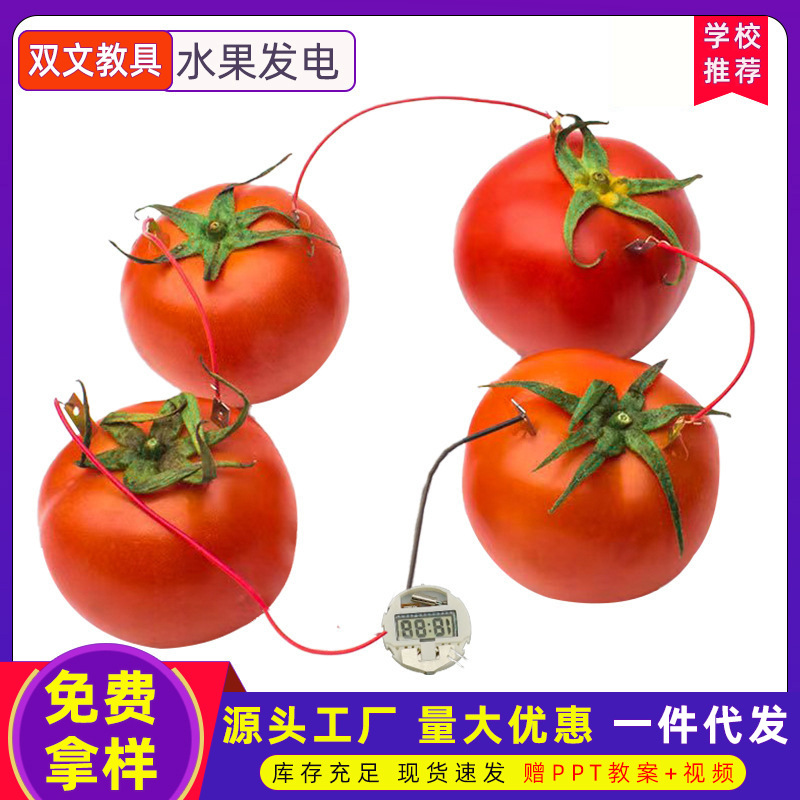 diy自制水果电池科学实验发电器材科技小制作发明仪器物理材料