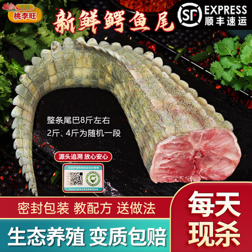 整条鳄鱼尾8斤 养殖鳄鱼尾肉 新鲜整条现杀鳄鱼肉鳄鱼尾巴肉 - 封面