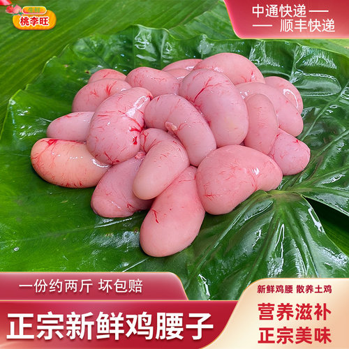 桃李旺新鲜鸡腰子营养滋补