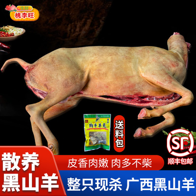 30斤整只羊广西带皮黑山羊腿肉