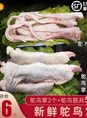 新鲜鸵鸟掌 农家散养活体现杀鸵鸟腿肉 生鲜纯瘦鸟肉食用鸵鸟肉筋
