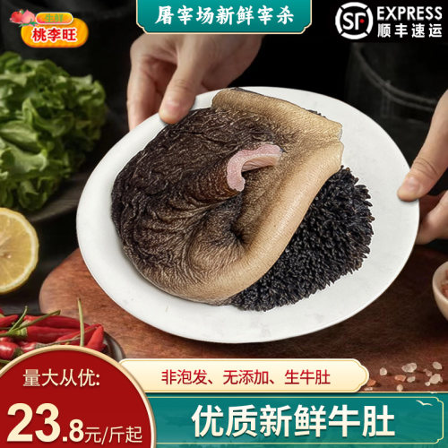 20斤新鲜牛肚优质大块黄牛肚