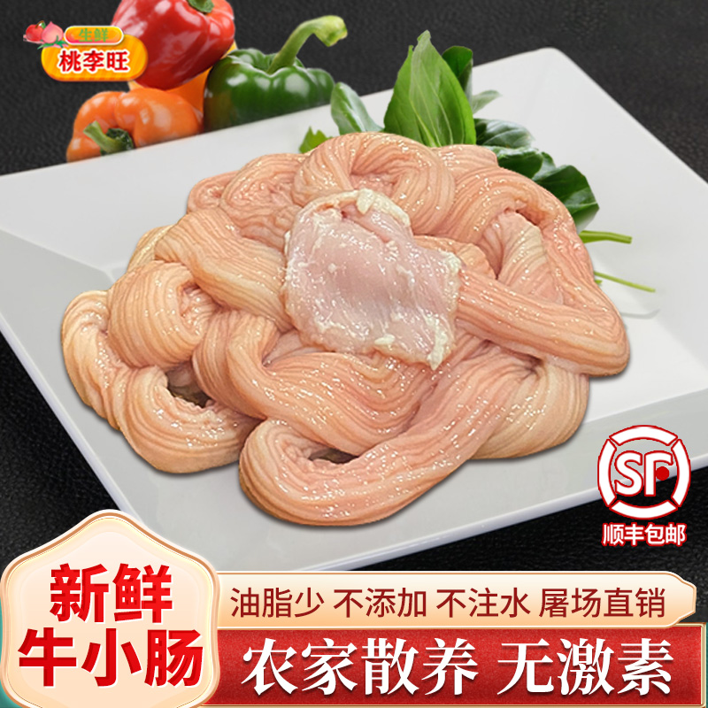 牛肠新鲜正宗生牛小肠