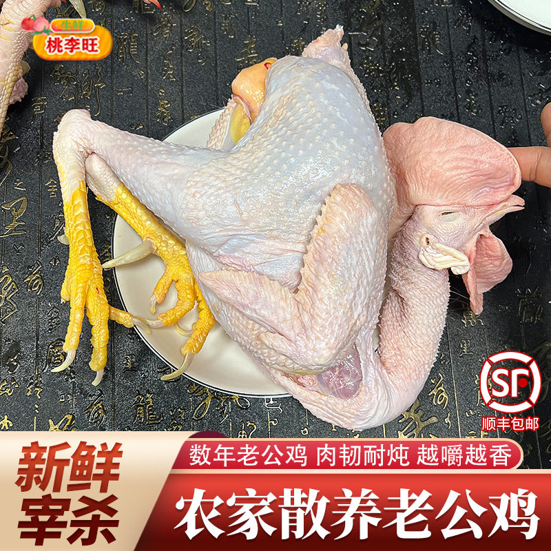 正宗老公鸡带脚蹬农家散养土鸡三年大公鸡广西走地鸡整鸡生鲜鸡肉
