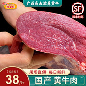 精选黄牛肉 优质土黄牛金膘牛肉清真牛肉 牛腿肉新鲜牛肉