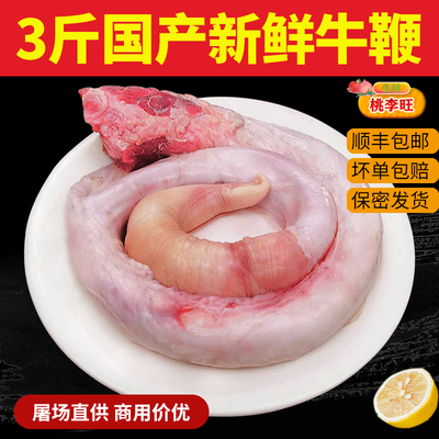 10斤牛鞭新鲜正宗黄牛鞭