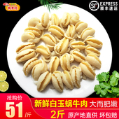 白玉蜗牛 新鲜蜗牛肉 红酒焗 法式 火锅烧烤食材螺肉田螺肉 桃李旺
