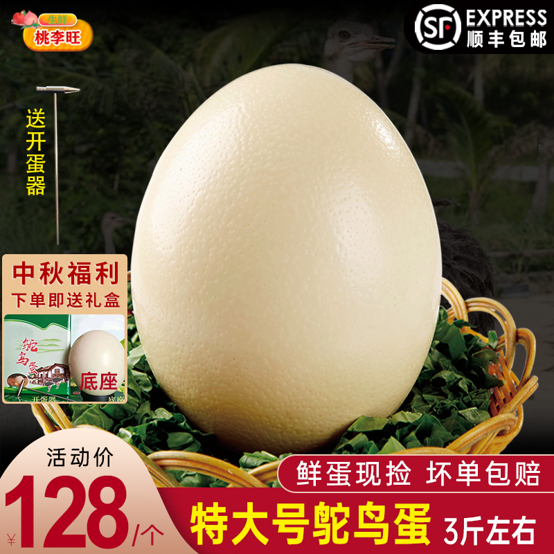 新鲜鸵鸟蛋特大号鸵鸟蛋食用鸸鹋蛋超大蛋可食用鲜蛋送礼雕刻-封面