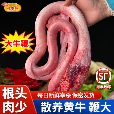 3斤新鲜牛鞭纯牛鞭煲汤佳品