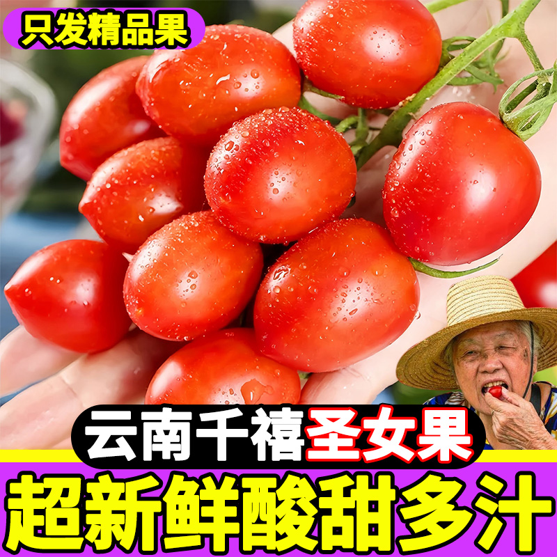 云南千禧圣女果5斤现摘新鲜小番茄生吃酸甜水果孕妇蔬菜小西红柿3