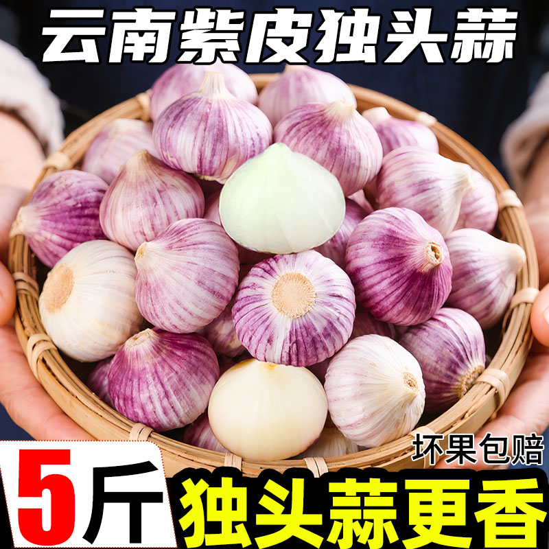云南紫皮独头蒜10斤新鲜当季圆头独蒜大蒜红皮新蒜干蒜头农家蔬菜