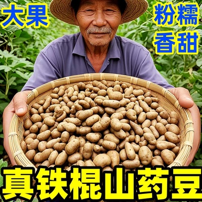 【山药豆推荐榜】官方推荐
