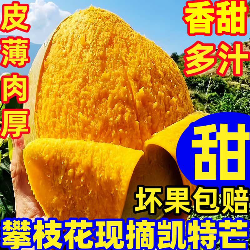 四川攀枝花凯特芒果10斤新鲜当季水果特大青皮大澳芒果甜心芒整箱