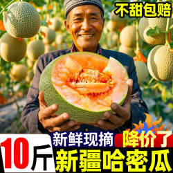 正宗新疆哈密瓜10斤新鲜水果网纹瓜蜜瓜冰淇淋香瓜西州蜜甜瓜整箱