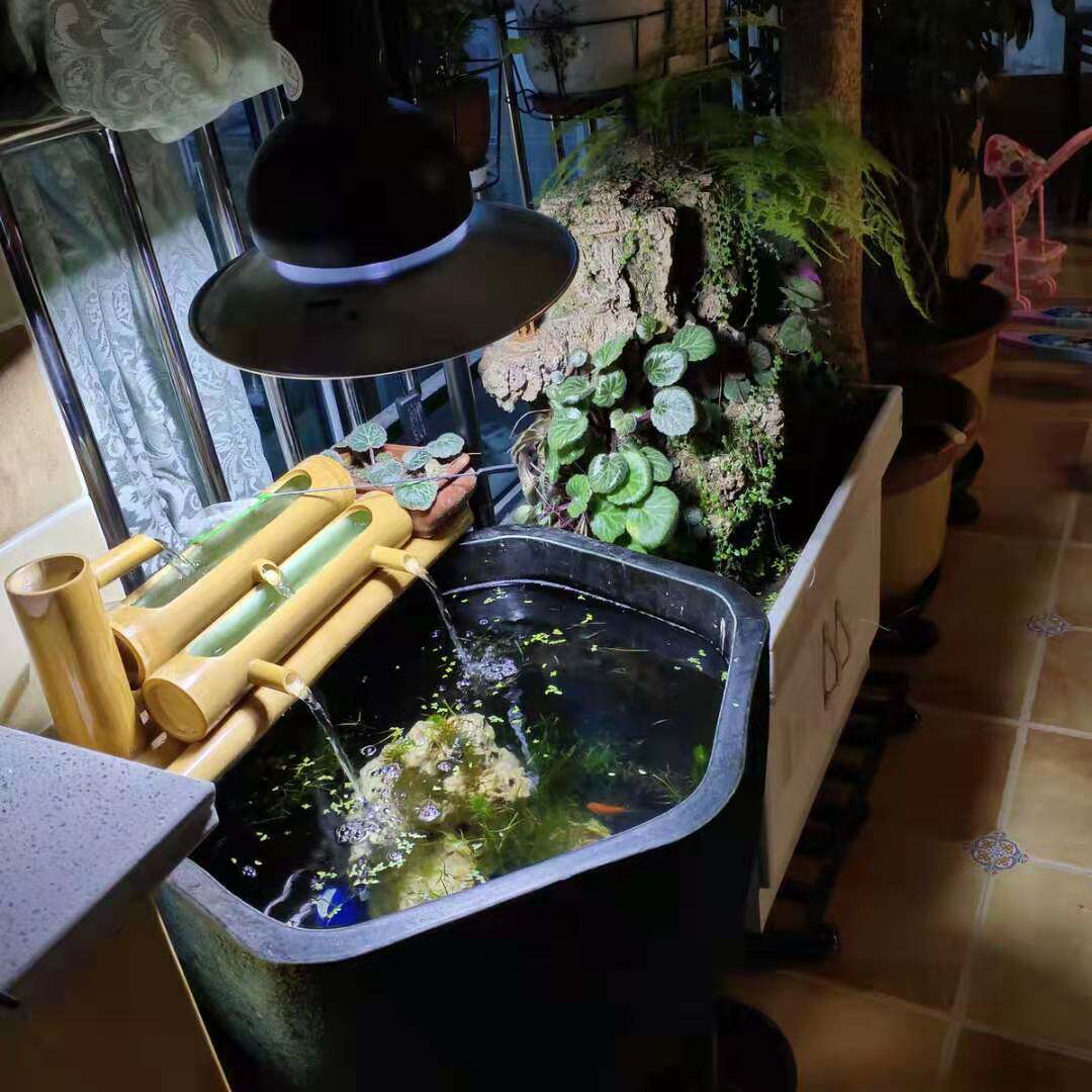 新品陶瓷金鱼缸LED爆苔落地灯 节能金鱼晒苔灯植物青苔爆藻灯瓦罐