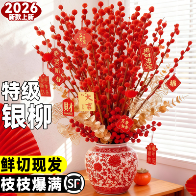 银柳真花鲜枝抱抱福桶喜庆年宵花卉摆件室内红色干花水培植物雪柳