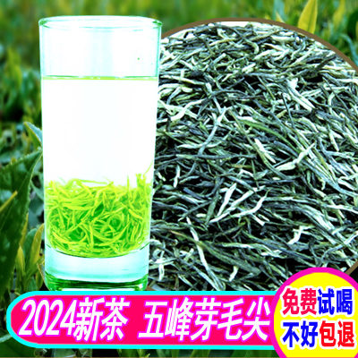 2024新茶特级五峰毛尖栗香500g