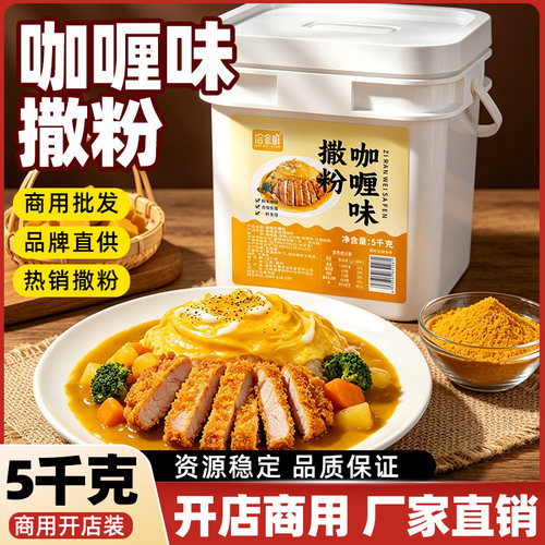 洽食鲜 咖喱味撒粉5kg瓶装商用炸鸡店油炸小吃鸡排薯条鸡腿调味料