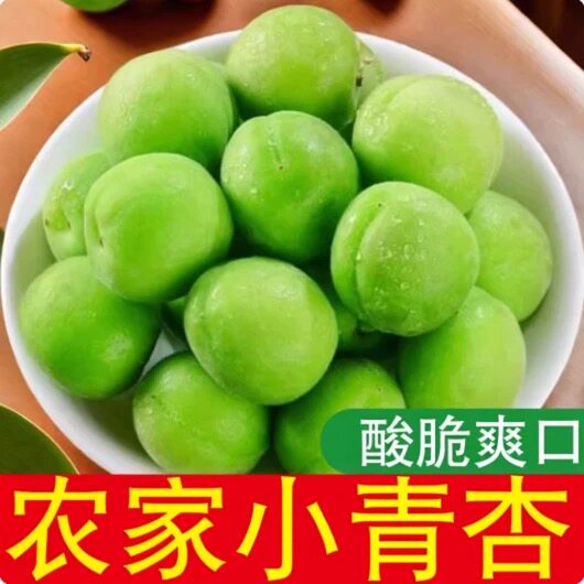 hora2026年青杏子毛杏子新鲜采摘发货新疆包邮发货青杏子aqikhor