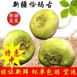 【恰玛古】新疆柯坪恰玛古当季自种新鲜蔬菜正宗新疆特产富碱食品