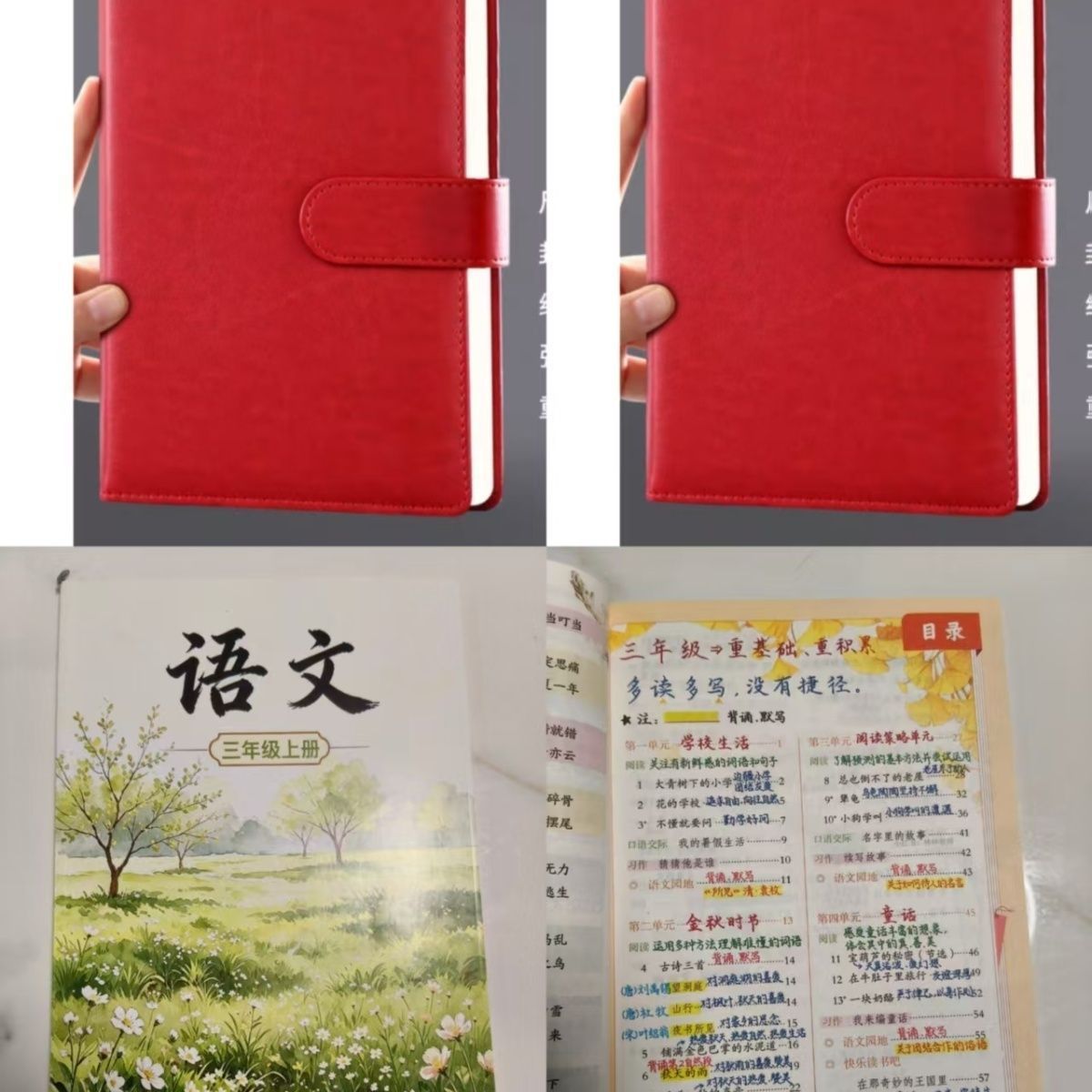林林老师26秋三上四上五上笔记本