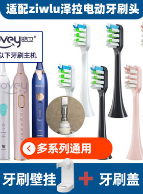 适配日本ziwlu泽拉电动牙刷头P1/X9SDlSP1/FSP2/ZLP1/A156/H2YA