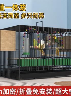 鸟笼子家用繁殖笼带隔断玄凤鸟笼玄凤鹦鹉杜鹃八哥鸟笼子特大号
