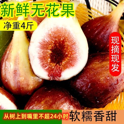 韶关有机无花果新鲜现摘孕妇水果