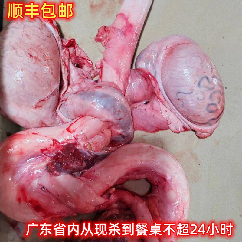 顺丰包邮新鲜现杀土黄牛牛鞭整副4斤以上够老身够大份量补身牛肉
