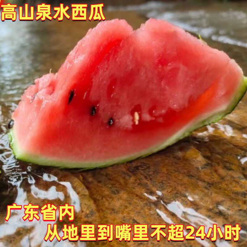 顺丰农家新鲜西瓜韶关高山现摘有籽黑金刚清甜多汁8斤夏季水果
