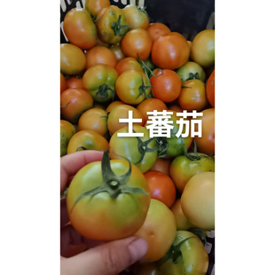 顺丰韶关农家新鲜蔬菜应季时蔬西红柿黄瓜苦瓜豆角土豆丝瓜5斤