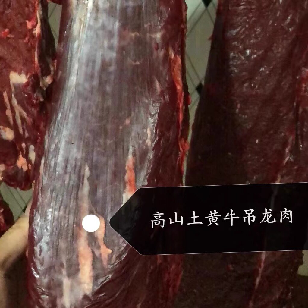 土黄牛肉吊龙肉韶关放养新鲜现杀