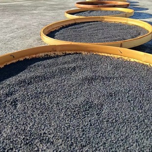 新鲜晒干韶关高山农家自种本地黑之麻生的太阳晒干无添加1000克