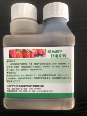 瑞马草莓保效灵增产增收