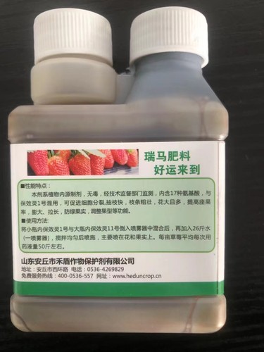 瑞马草莓保效灵增产增收