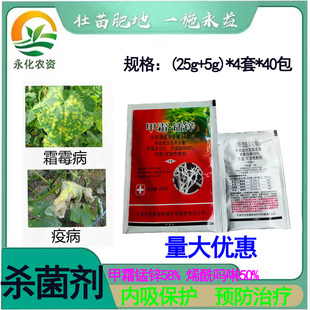 汉邦甲霜锰锌烯酰吗啉组合黄瓜瓜果蔬菜套装霜霉病疫病农药杀菌剂