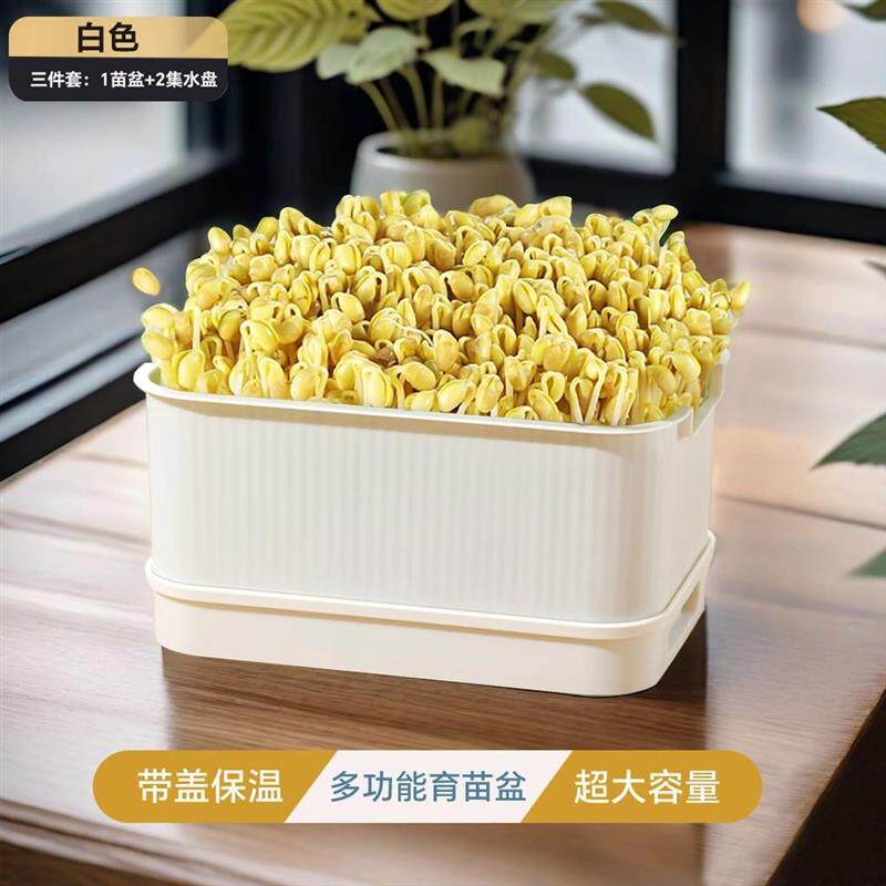 食品级家用豆芽发芽专用盆大号育苗盘大容量水培种植豆芽罐黄绿豆