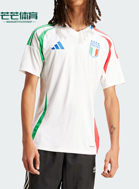 Adidas/阿迪达斯正品FIGC A JSY男士足球运动短袖球衣IN0656