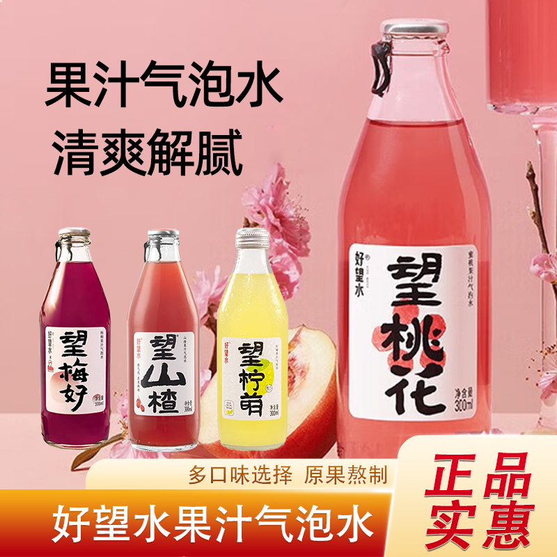 好望水望山楂果汁气泡水