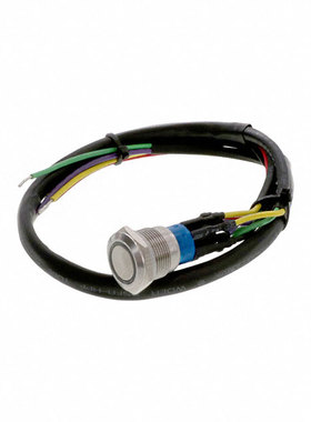 AV1920RG12T5Q04 | AV1921000R04 | AV19C703D200K