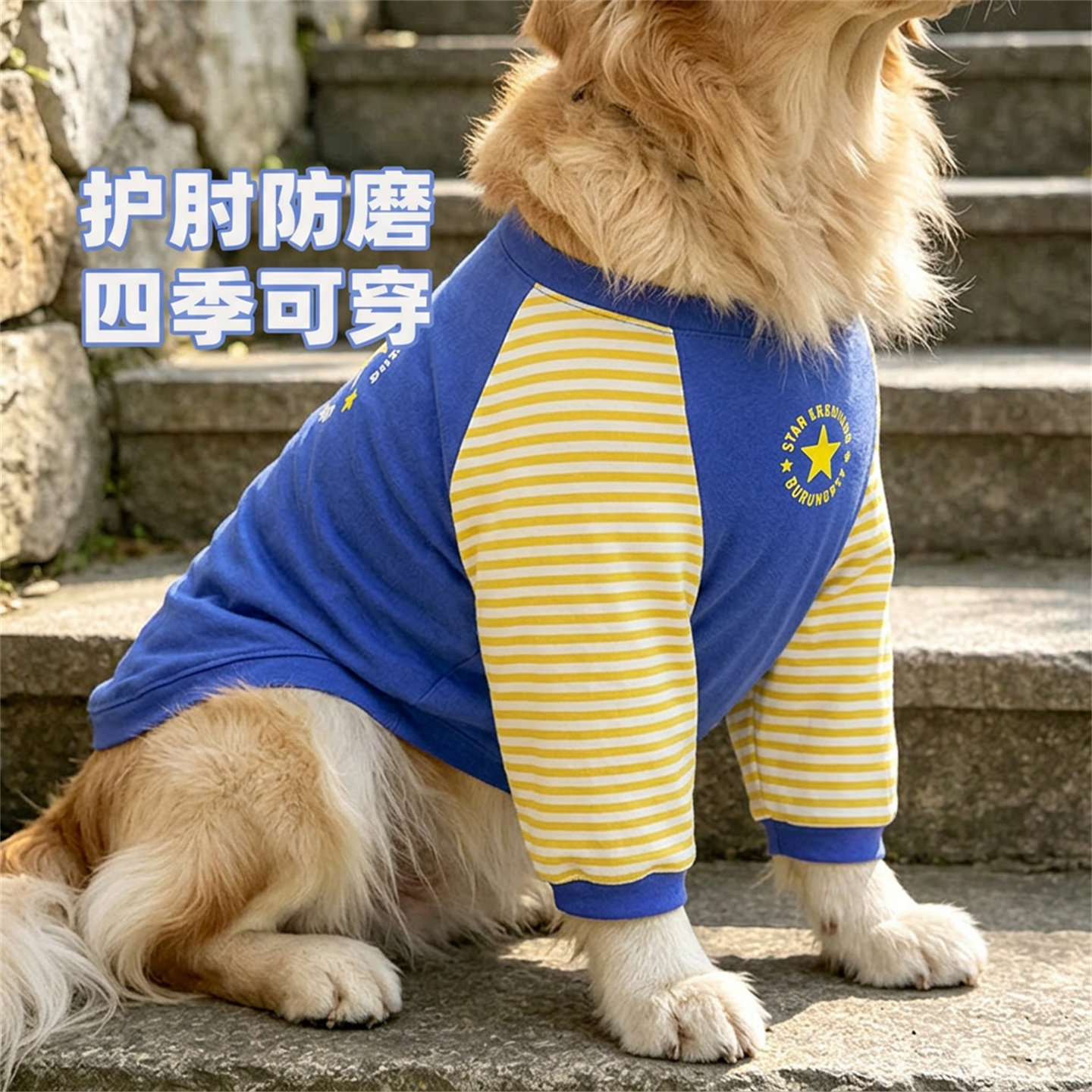 狗狗护肘衣关节保护套大狗防脏耐磨护膝金毛边牧宠物衣服短款薄款
