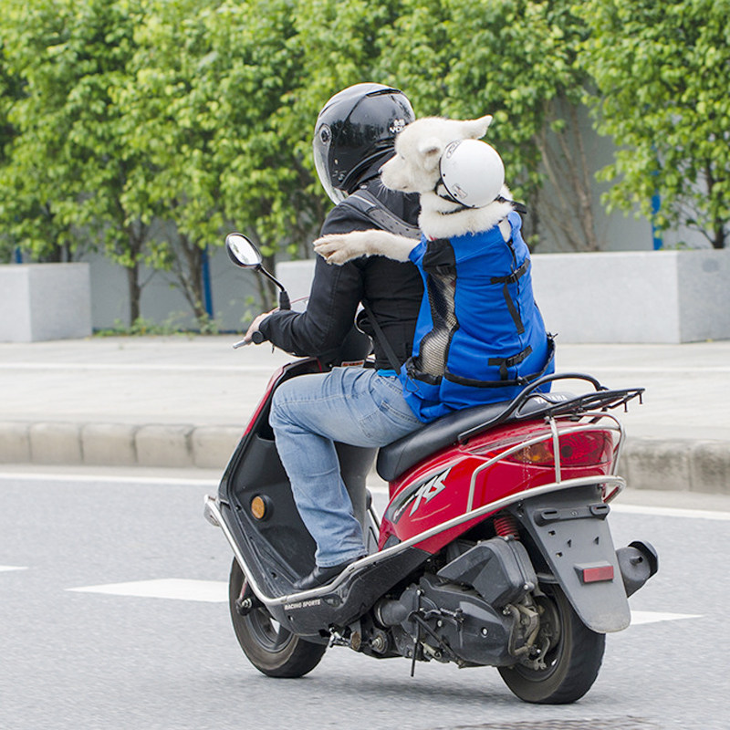 狗狗坐电动车神器骑车带狗背包中型犬外出包宠物便携包双肩背狗包