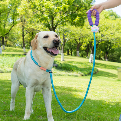 狗狗牵引绳大中型犬遛狗绳子