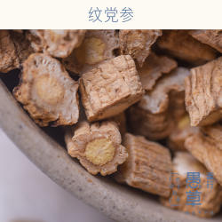 【愚草】党参 六年生纹党250克/罐 甘肃文县产党参粒入药煲汤煮水