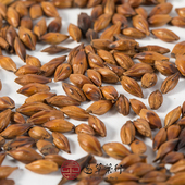 350 泡水食材 大麦茶浓香型炒制烘培大麦茶 罐装 愚草