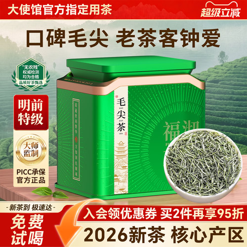 信阳原产毛尖茶叶2026新茶特级