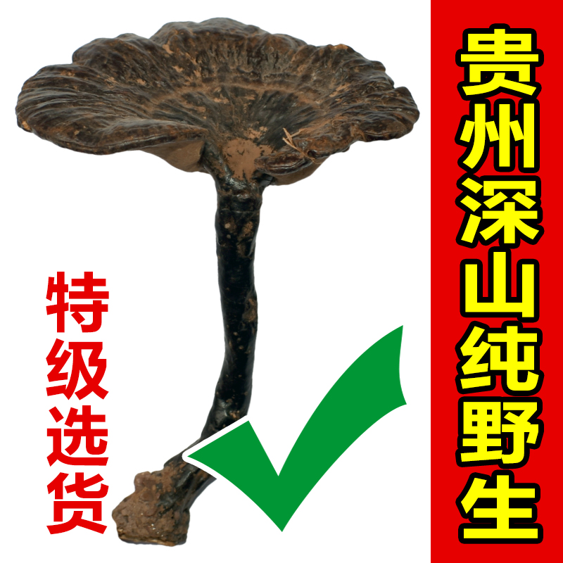 贵州纯野生紫灵芝整朵天然特级干货整枝正品林芝可切片泡酒一斤装