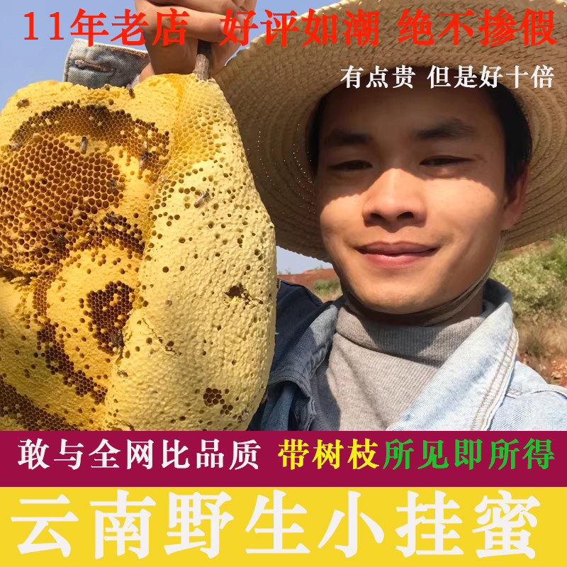 正宗云南小挂蜜 纯正天然野生蜂巢蜜 百花蜜排蜂蜜嚼着吃非土蜂蜜