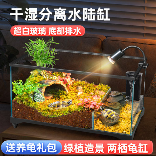 乌龟饲养缸生态水陆两栖鱼缸